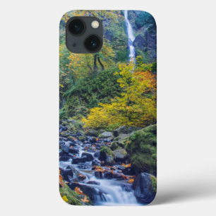 Herbstfarben entlang des Starvation Creek Falls 2 title_seo2