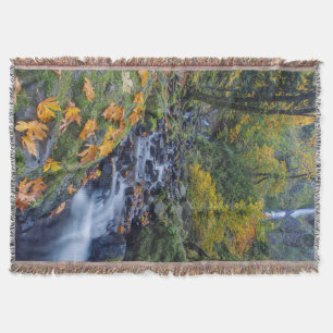 Herbstfarben entlang des Starvation Creek Falls Decke