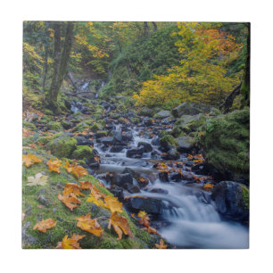 Herbstfarben entlang des Starvation Creek Falls Fliese