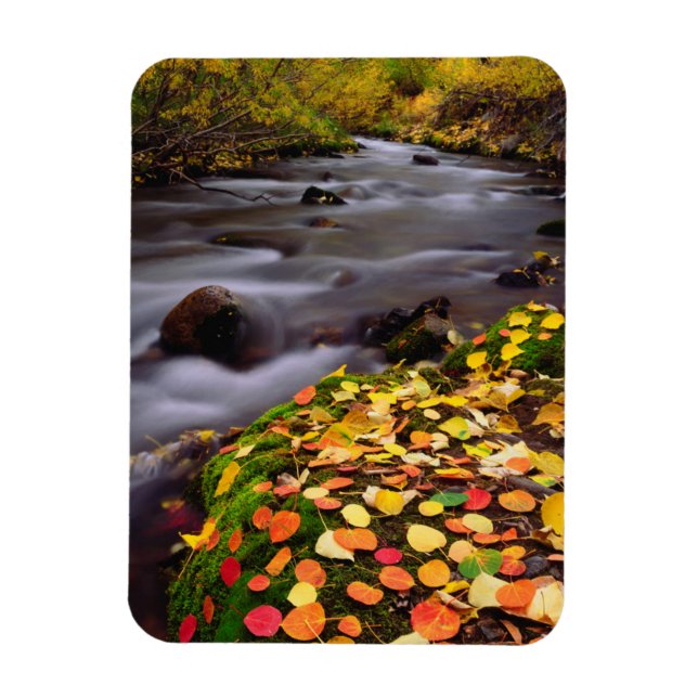 Herbstfarben entlang McGee Creek Magnet (Vertikal)