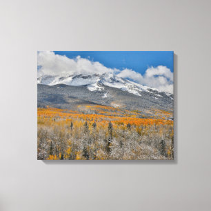 Herbstfarben Espen &    Rocky Mountains, Colorado Leinwanddruck