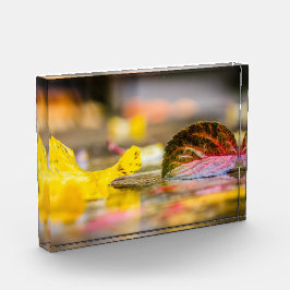 Herbstfarben Fotoblock