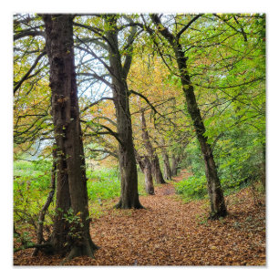 Herbstfarben Fotodruck