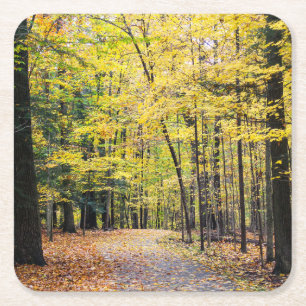 Herbstfarben im Cuyahoga Valley Nationalpark Rechteckiger Pappuntersetzer