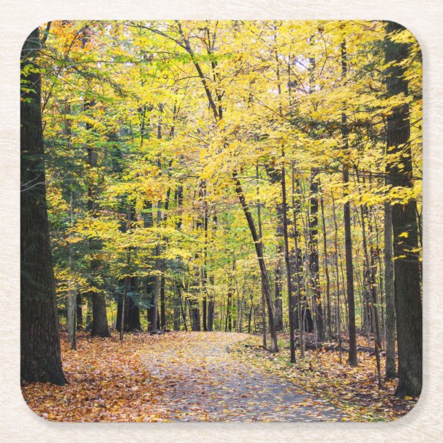 Herbstfarben im Cuyahoga Valley Nationalpark Rechteckiger Pappuntersetzer (Vorderseite)