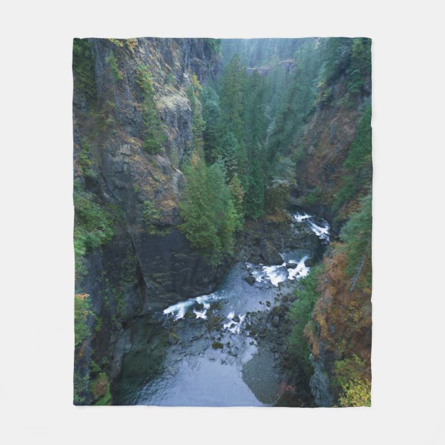 Herbstfarben im Elk Falls Provincial Park AG Fleecedecke (Vorderseite)