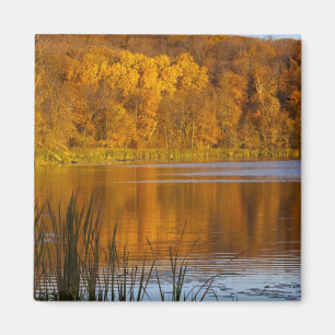 Herbstfarben im Maplewood Staat Park in der Nähe Magnet