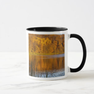 Herbstfarben im Maplewood State Park in der Nähe v Tasse
