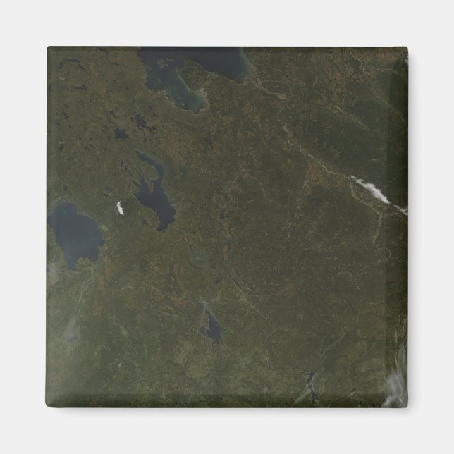 Herbstfarben im Nordwesten Russlands Magnet (Vorne)