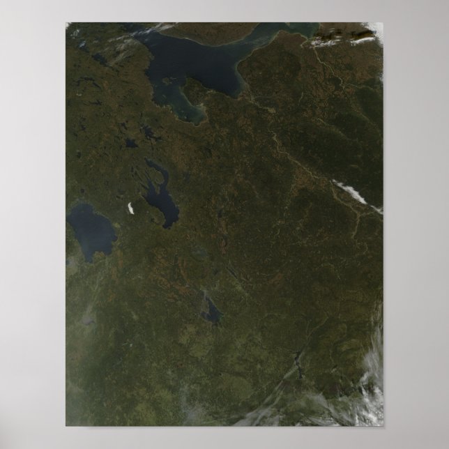 Herbstfarben im Nordwesten Russlands Poster (Vorne)