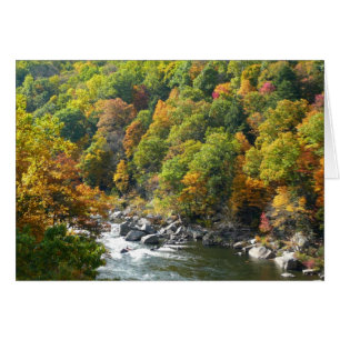 Herbstfarben im Ohiopyle State Park