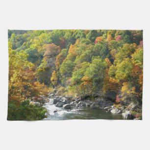 Herbstfarben im Ohiopyle State Park Geschirrtuch