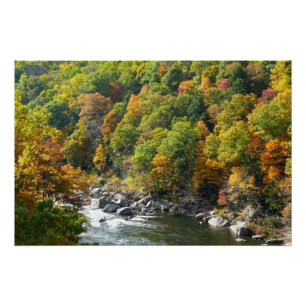 Herbstfarben im Ohiopyle State Park Poster