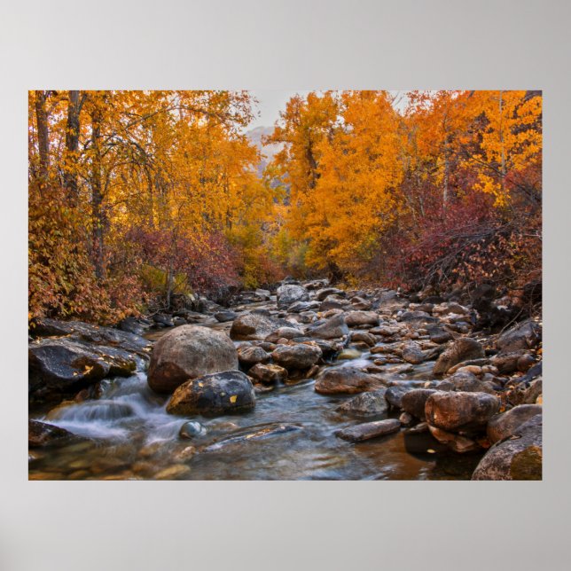 Herbstfarben im Ruby-Gebirge Poster (Vorne)