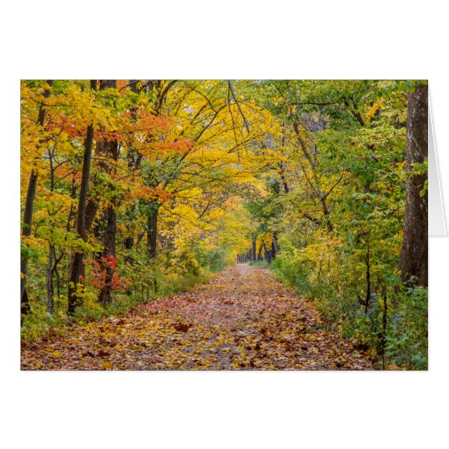 Herbstfarben im Staat Park (Vorderseite (Horizontal))