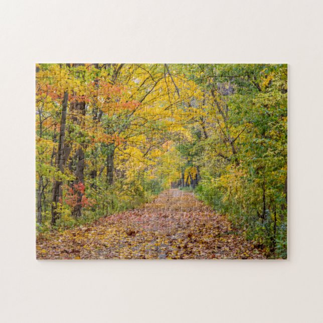 Herbstfarben im Unabhängigkeitspark Staat (Horizontal)