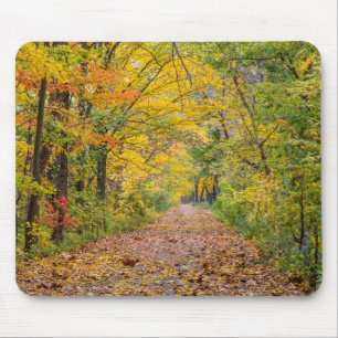 Herbstfarben im Unabhängigkeitspark Staat Mousepad
