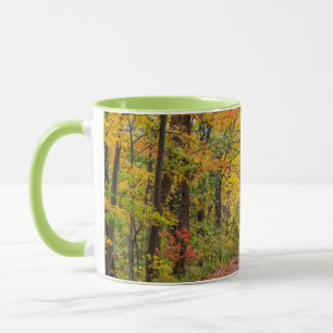 Herbstfarben im Unabhängigkeitspark Staat Tasse