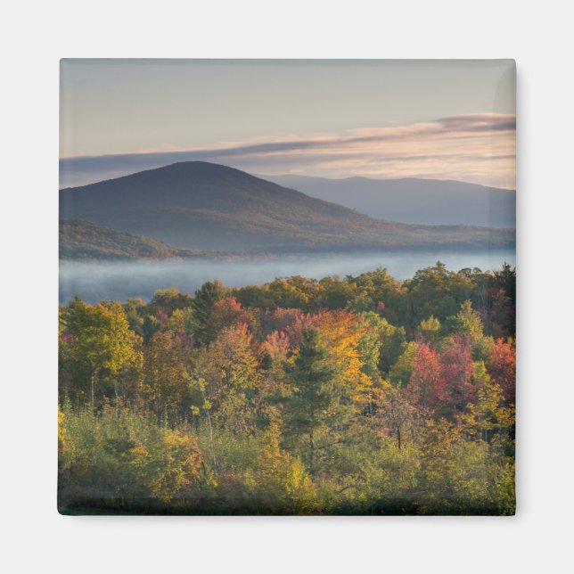 Herbstfarben im Weißen Gebirge Magnet (Vorne)