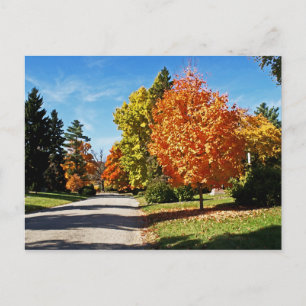 Herbstfarben in Cincinnati Postkarte