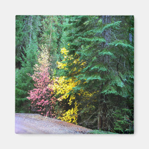 Herbstfarben in den Bergen.... Magnet