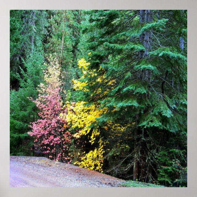 Herbstfarben in den Bergen.... Poster (Vorne)