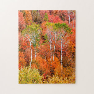 Herbstfarben in den Rocky Mountains, Wyoming, USA