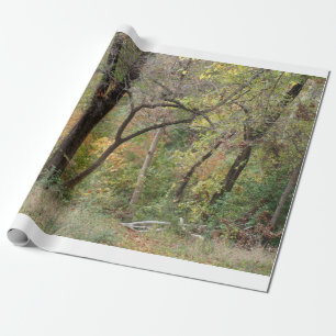 Herbstfarben in einem Wald Geschenkpapier