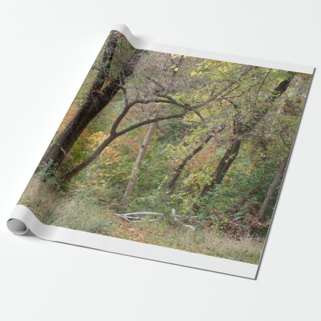 Herbstfarben in einem Wald Geschenkpapier (Ungerollt)