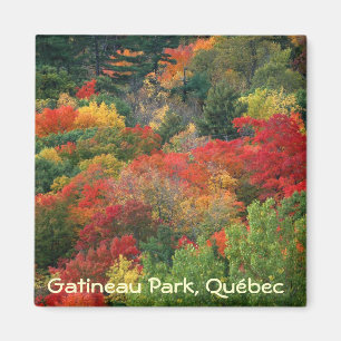 Herbstfarben in Gatineau Park Magnet