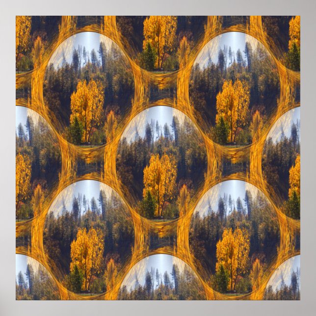 Herbstfarben in Hayfork... Poster (Vorne)