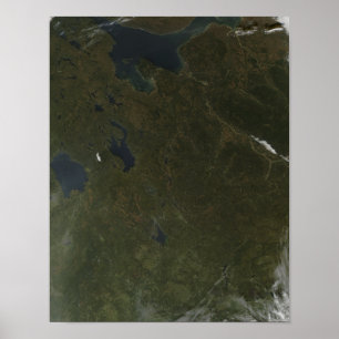 Herbstfarben in nordwestlichem Russland Poster