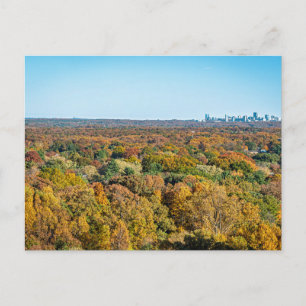 Herbstfarben in Reston Virginia Postkarte