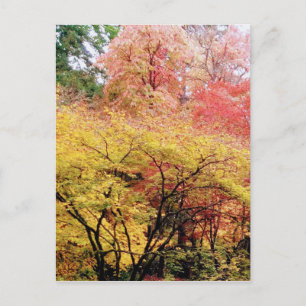 Herbstfarben in Seattle Postkarte