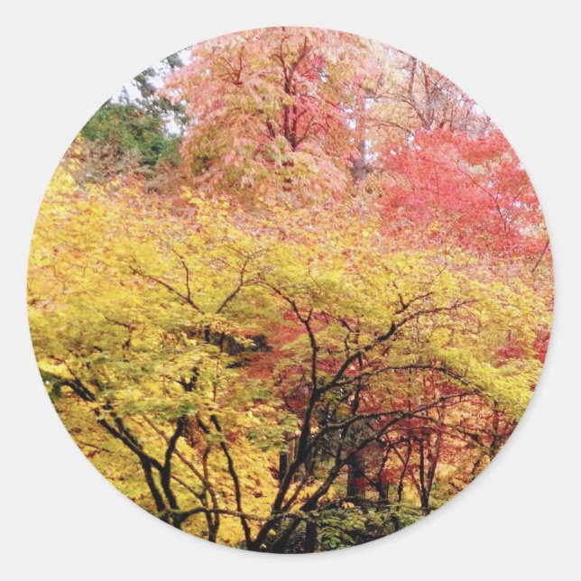 Herbstfarben in Seattle Runder Aufkleber (Vorderseite)