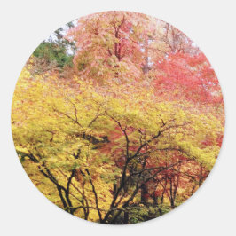 Herbstfarben in Seattle Runder Aufkleber