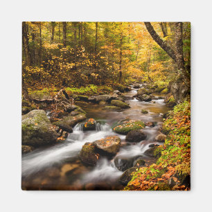 Herbstfarben Jefferson Brook   White Mountains Magnet