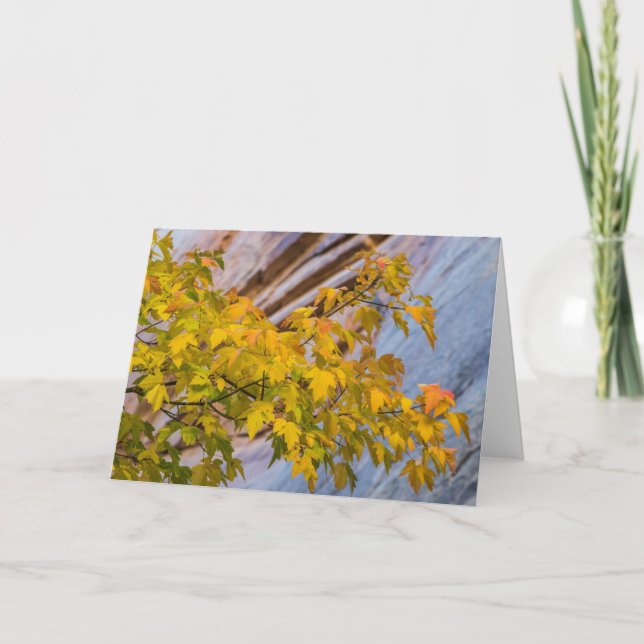 Herbstfarben Karte (Vorderseite)