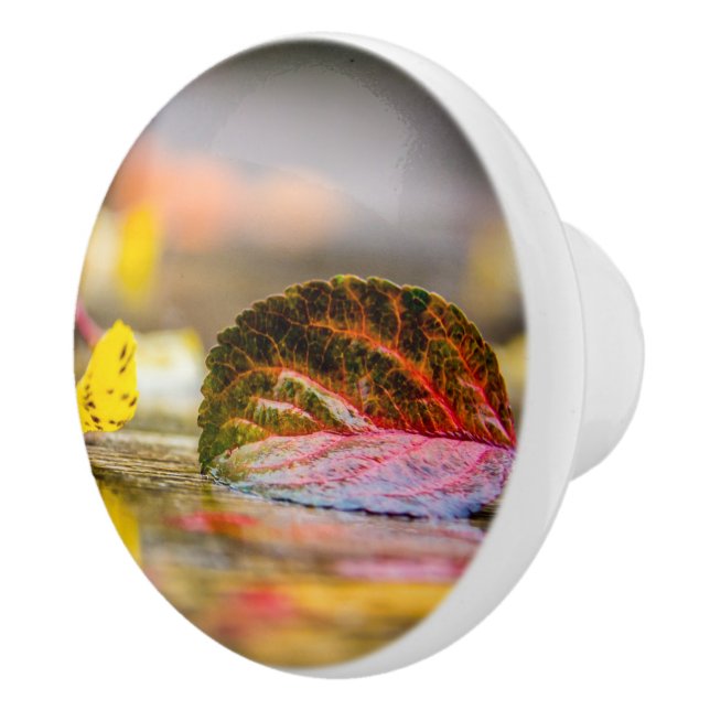 Herbstfarben Keramikknauf (Rechts)