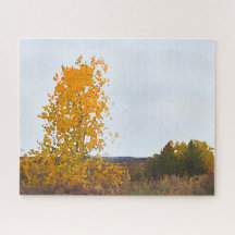 Herbstfarben Lone Cottonwood Tree Impressionistisc
