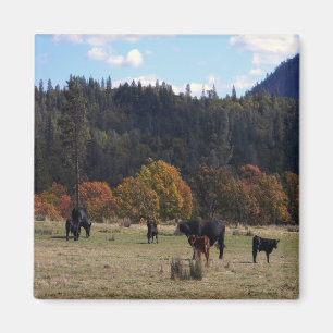 Herbstfarben mit der Herde... Magnet