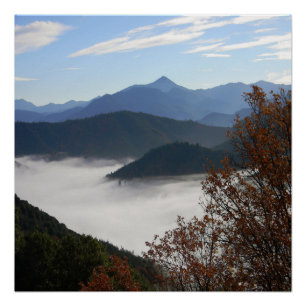 Herbstfarben mit Nebel.... Poster