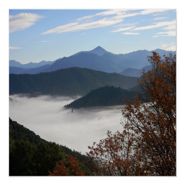 Herbstfarben mit Nebel.... Poster (Vorderseite)
