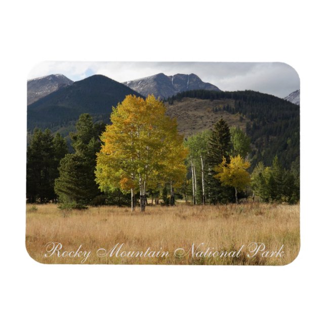 Herbstfarben Mummy Range Rocky Mtn Nationalpark Magnet (Horizontal)
