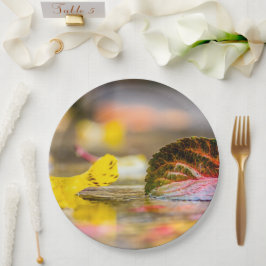 Herbstfarben Pappteller