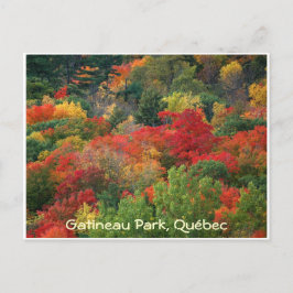 Herbstfarben Postkarte
