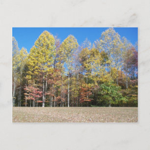 Herbstfarben Postkarte