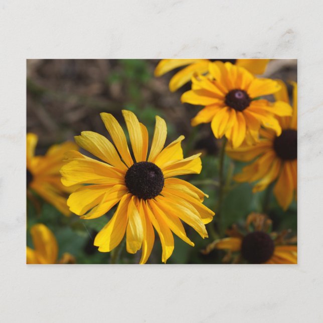 Herbstfarben Postkarte (Vorderseite)