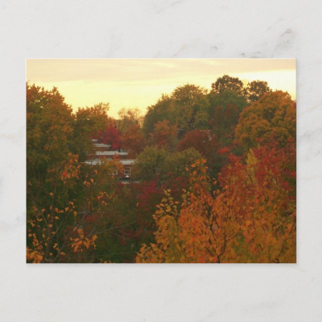 Herbstfarben Postkarte (Vorderseite)