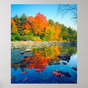 Herbstfarben reflektieren in einem Fluss in Vermon Poster